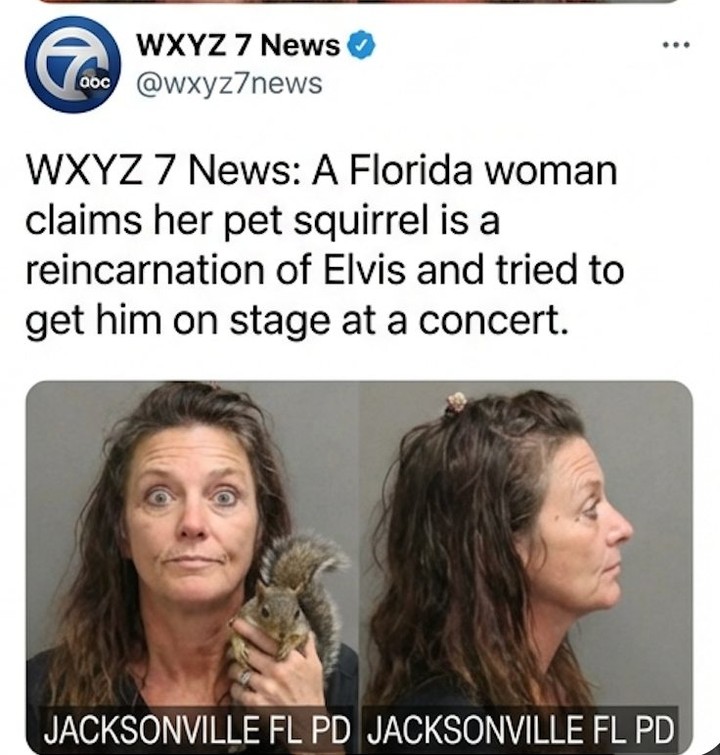 JACKSONVILLE, FL — A Florida woman was detained after allegedly attempting to get her pet squirrel on stage at a live concert, insisting the animal is the reincarnation of Elvis.