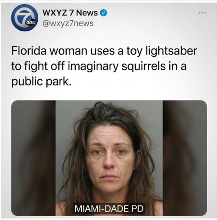 MIAMI, FL -- FLORIDA WOMAN DETAINED AFTER SPENDING 45 MINUTES SWINGING A TOY LIGHTSABER AT IMAGINARY SQUIRRELS IN A PUBLIC PARK AND TELLING JOGGERS "STAY BACK, THEY'RE EVERYWHERE"