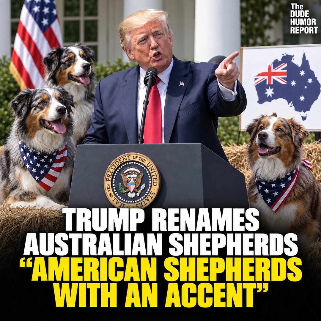 TRUMP RENAMES AUSTRALIAN SHEPHERDS “AMERICAN SHEPHERDS WITH AN ACCENT”
