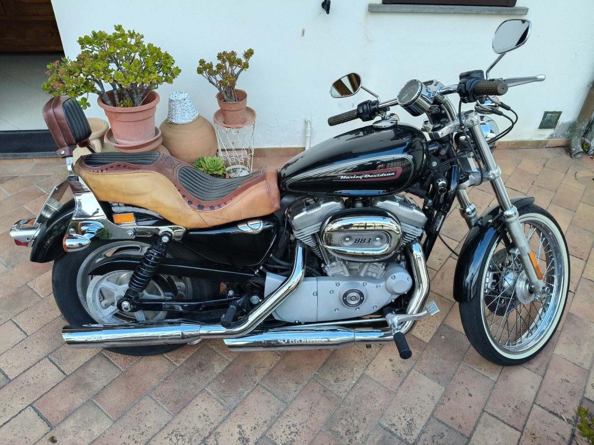 Harley-Davidson Sportster 883 XL 883C Custom