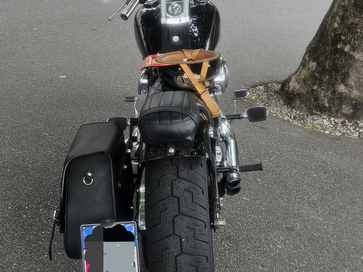 Harley-Davidson Softail Custom FXSTC