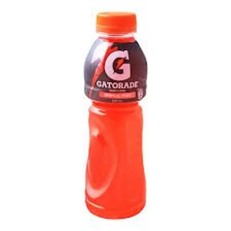 Gatorade Red Fruit Punch 500ml