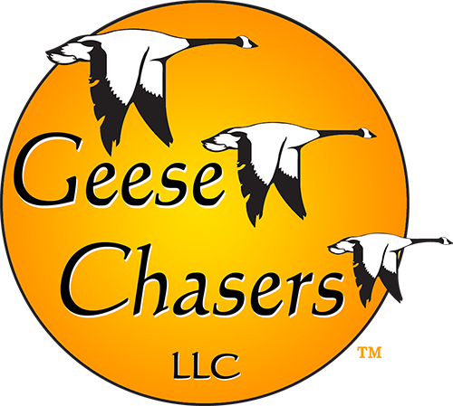 Geese Chasers Northern Virginia