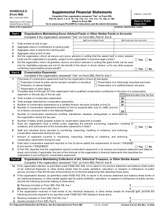 990 Schedule D fillable PDF first-page preview of Supplemental Financial Statements