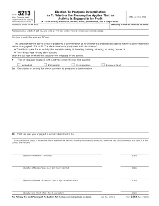 5213 fillable PDF first-page preview of Election to Postpone Determination of Business Activity