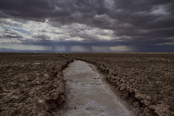 Scenes from the Atacama, Chile
