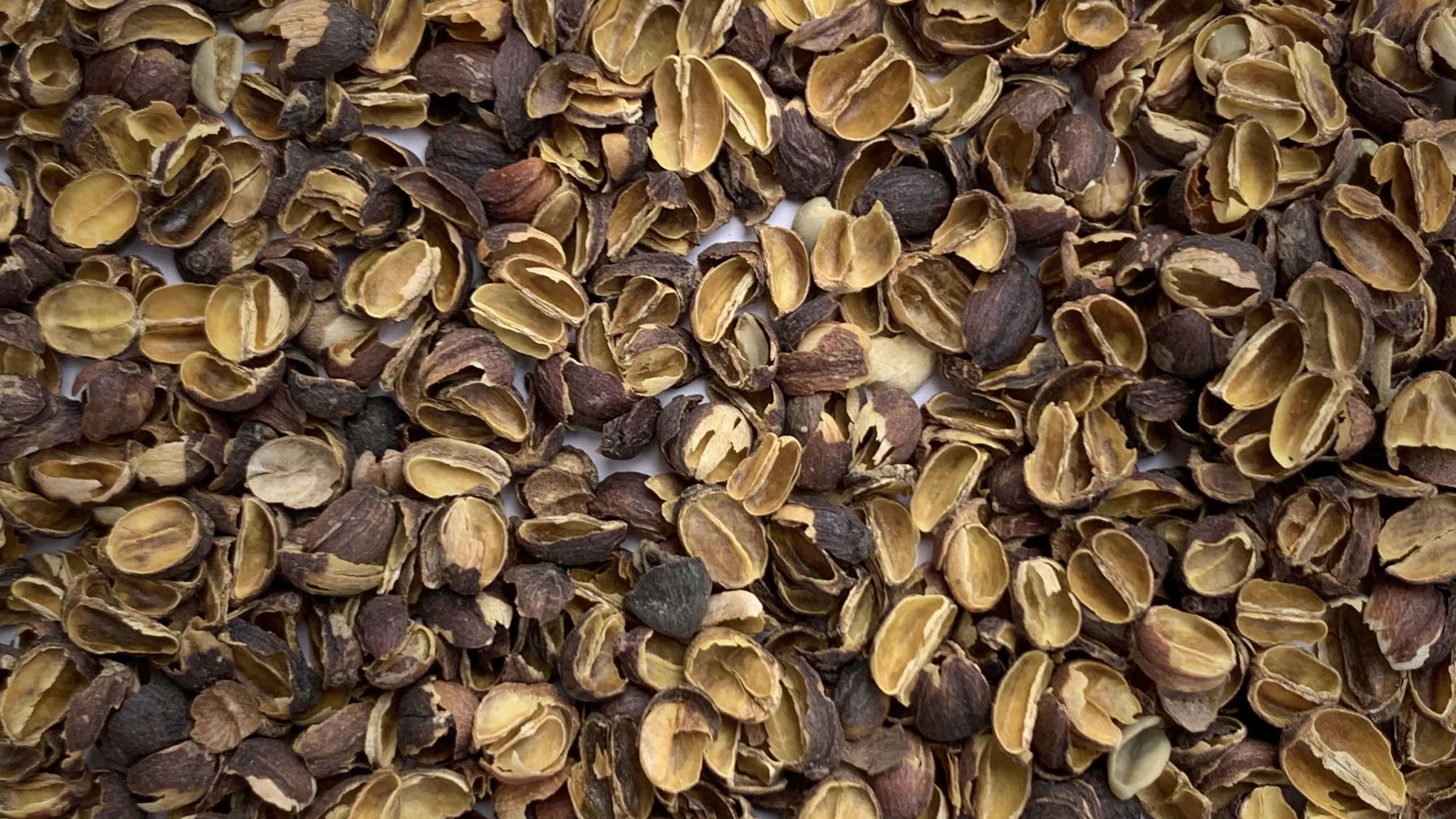 Qishr (Husks) coffee 