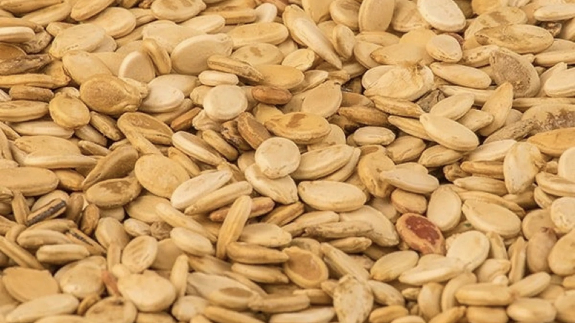 Roasted and Salted Melon Seeds