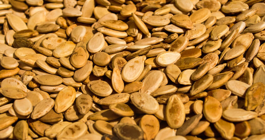 Roasted Sour Melon Seeds