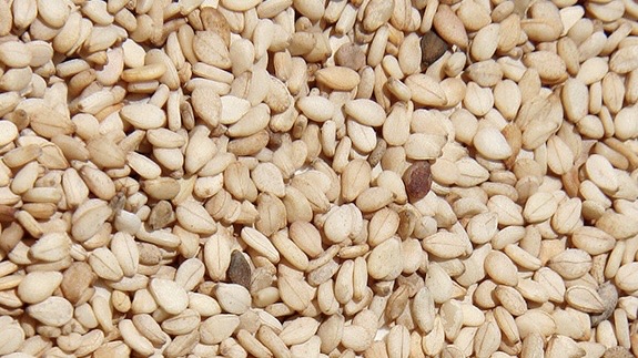 Sesame Seeds