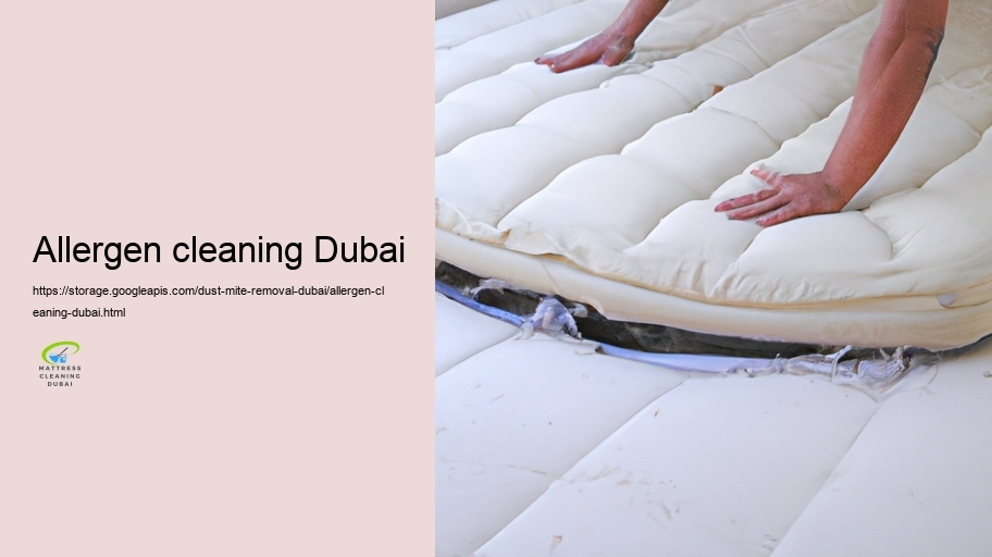 Professional Dust Mite Elimination Providers in Dubai
