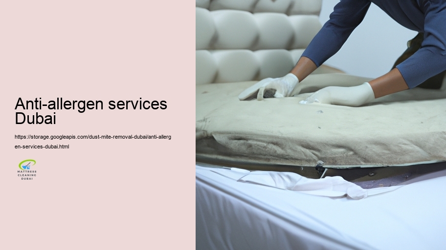 Expert Dust Mite Removal Services in Dubai