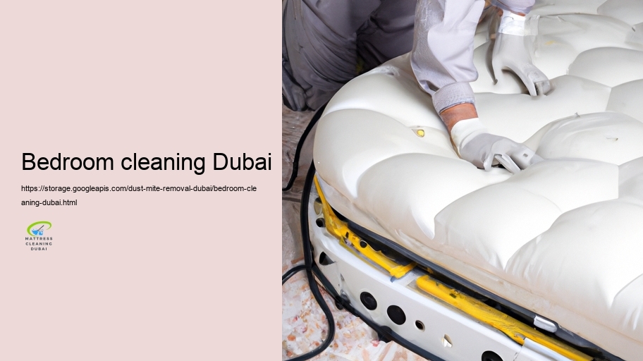 Expert Allergen Removal Services in Dubai