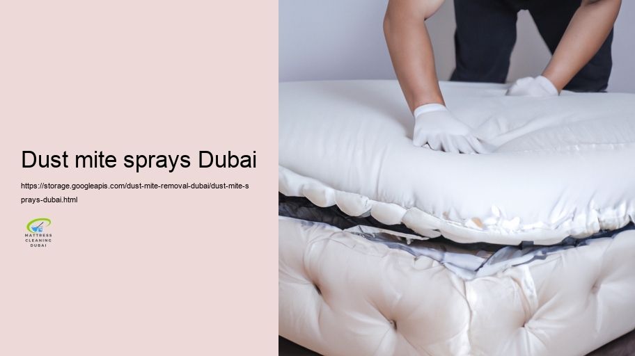 Expert Allergen Removal Companies in Dubai