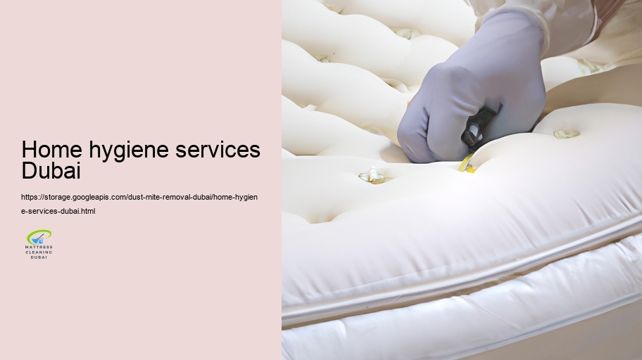 Professional Allergen Removal Services in Dubai