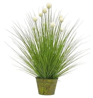 Grass Plant Artificial Pompom (Ht 30inches) with Eight White Flowers and Metal Trendy Pot for Home Office Party Wedding and Table Top Decor GA5066