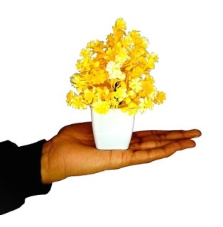 Plants with Pot Multi Color Flowers for Home Decor Living Room Office Desk Top Mini Decorative Samll Succulent Bonsai with Pots Indoor (Pack of 6) thumbnail 2