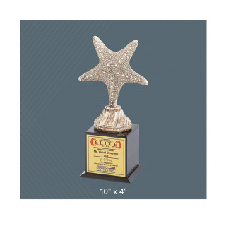 Silver Star Award