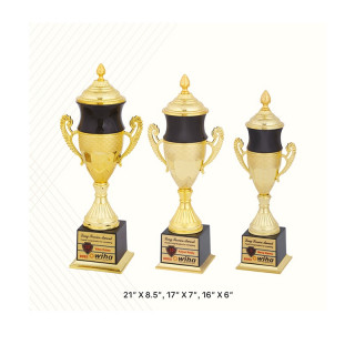 Trophy for Cricket tournament Sport Academy Awards School Trophy