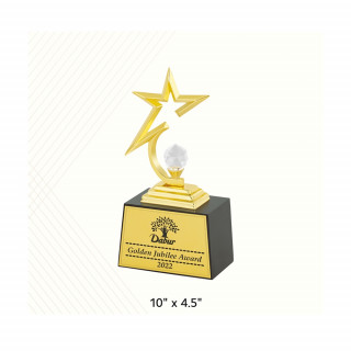 Champion’s Star Metal Trophy