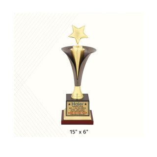Star Metal Award Trophies