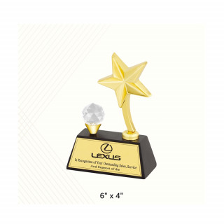 Elegant Metal Trophy With Custom Design