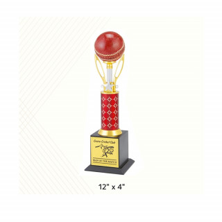 Red Golden And Silver Metal Cricket Cup Trophies