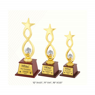 Star Metal Trophy With Wooden Base