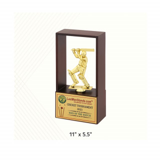 Be Win Batsman Trophy for Cricket Best Batsman Cricket Events Functions Cricket's Tournaments & Competitions