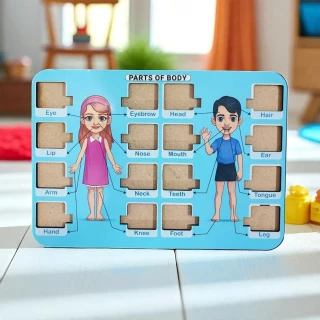 DVMART® Kid's Human Body Part Puzzle for School, Home, Learning | Body Part Theme thumbnail 3