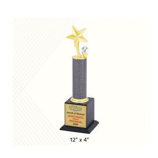 Piru Brass Star Award Trophy For School Office College