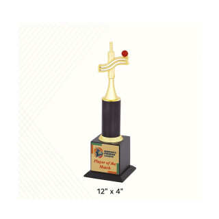 Brass Golden (Gold Plated) Sport Trophy Awards For College