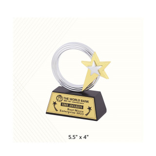 Customized Gold Star Award