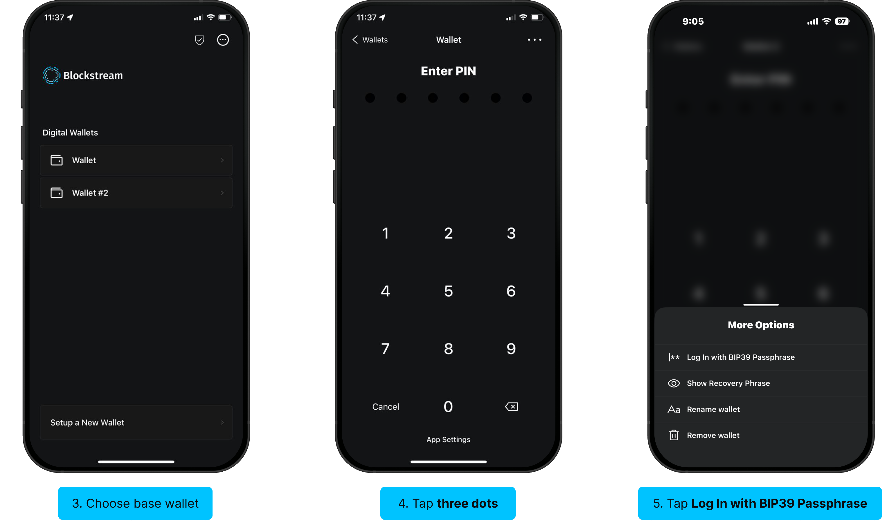Log in with BIP39 passphrase: choose base wallet, tap three dots, tap Log In with BIP39 Passphrase