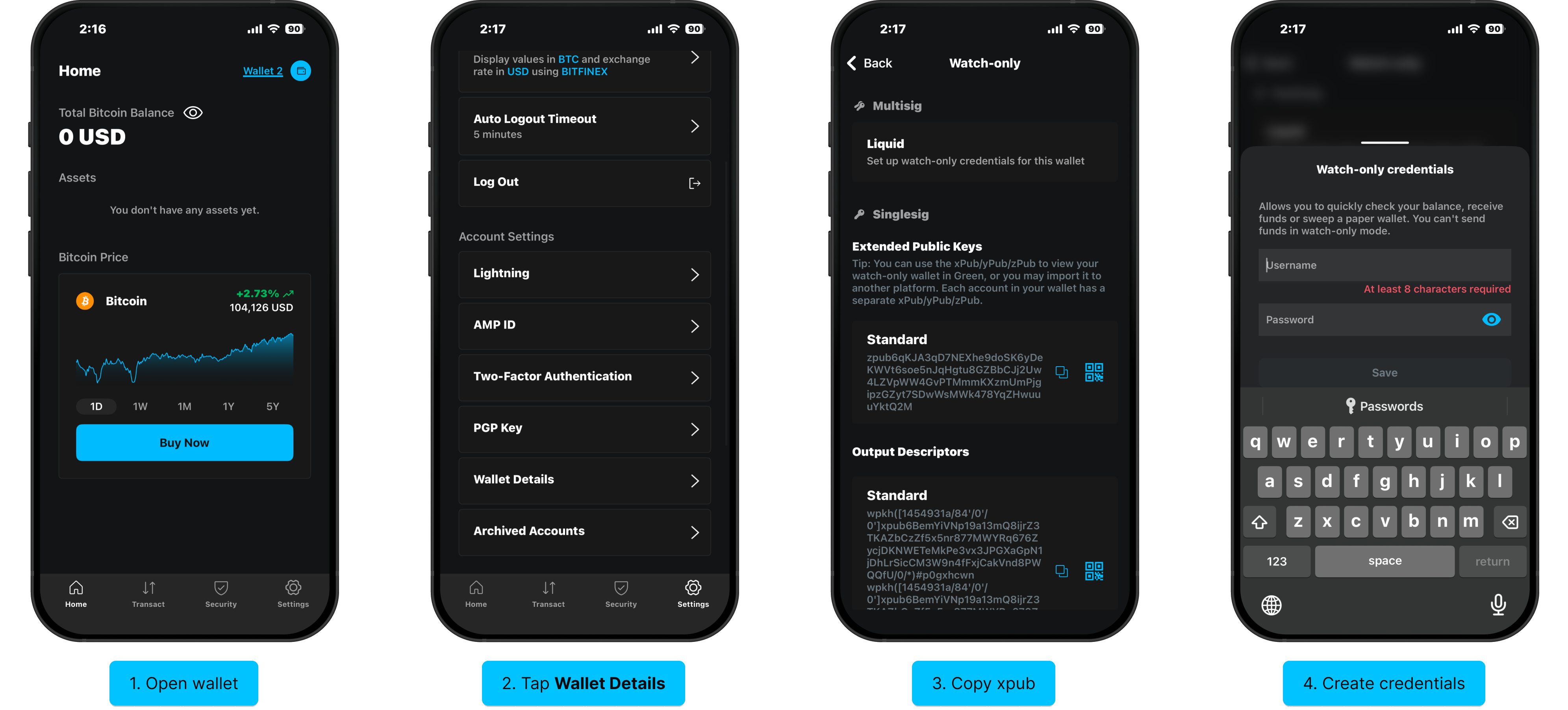 Set up watch-only on iOS: open wallet, Wallet Details, copy xpub, create credentials