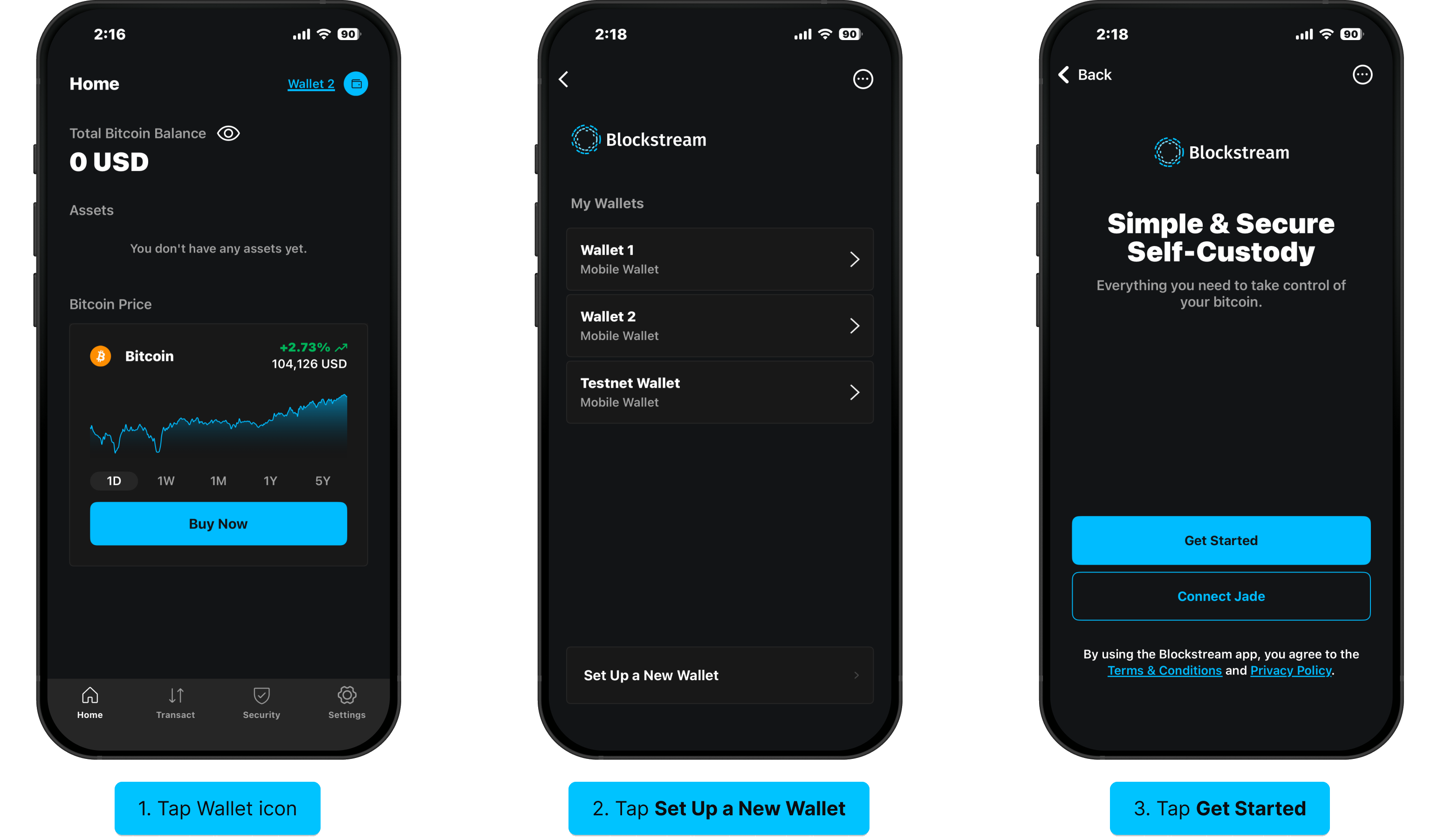 Set up watch-only access: Wallet icon, Set Up a New Wallet, Get Started
