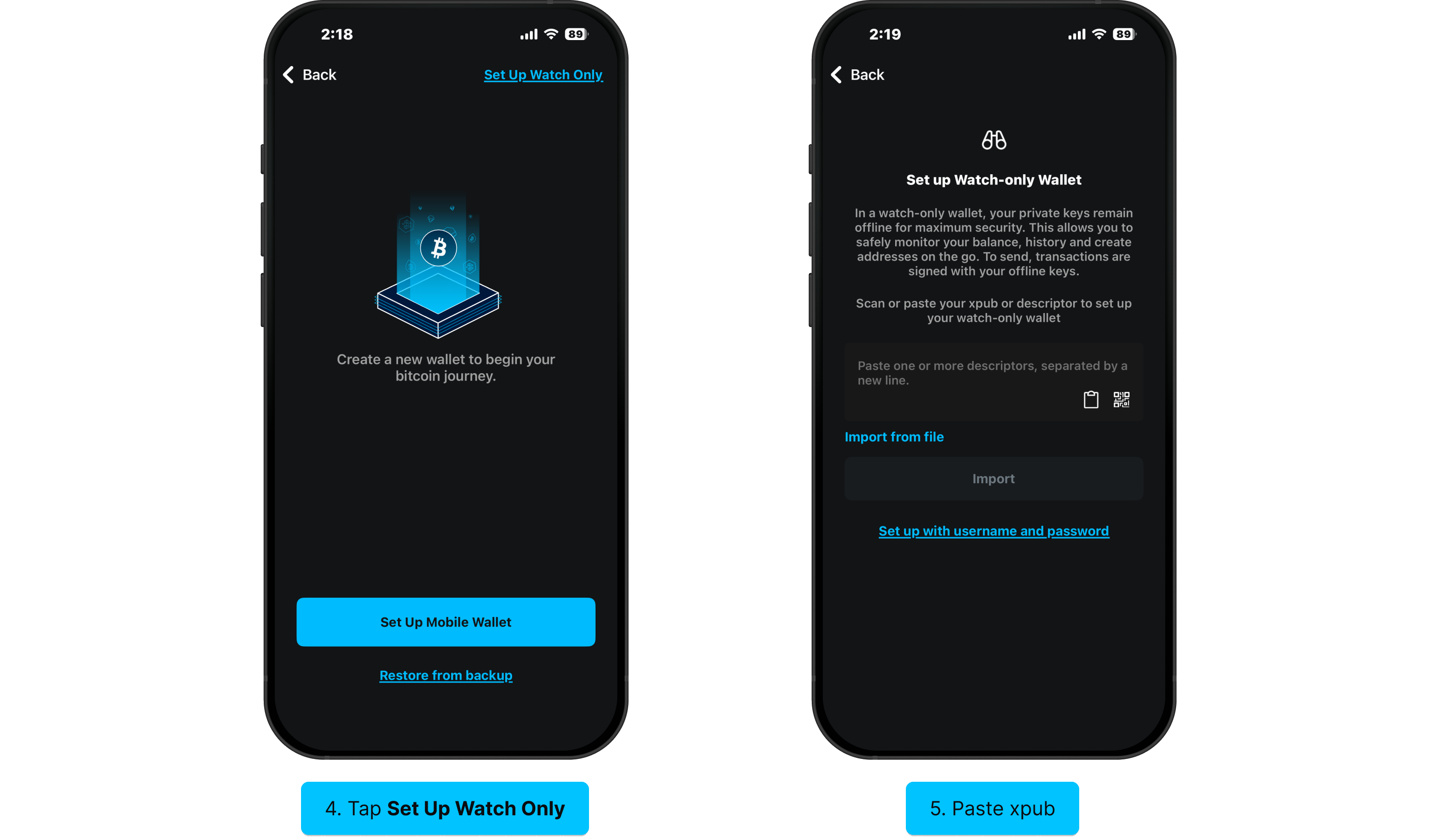 Set up watch-only access: Set Up Watch Only, paste xpub