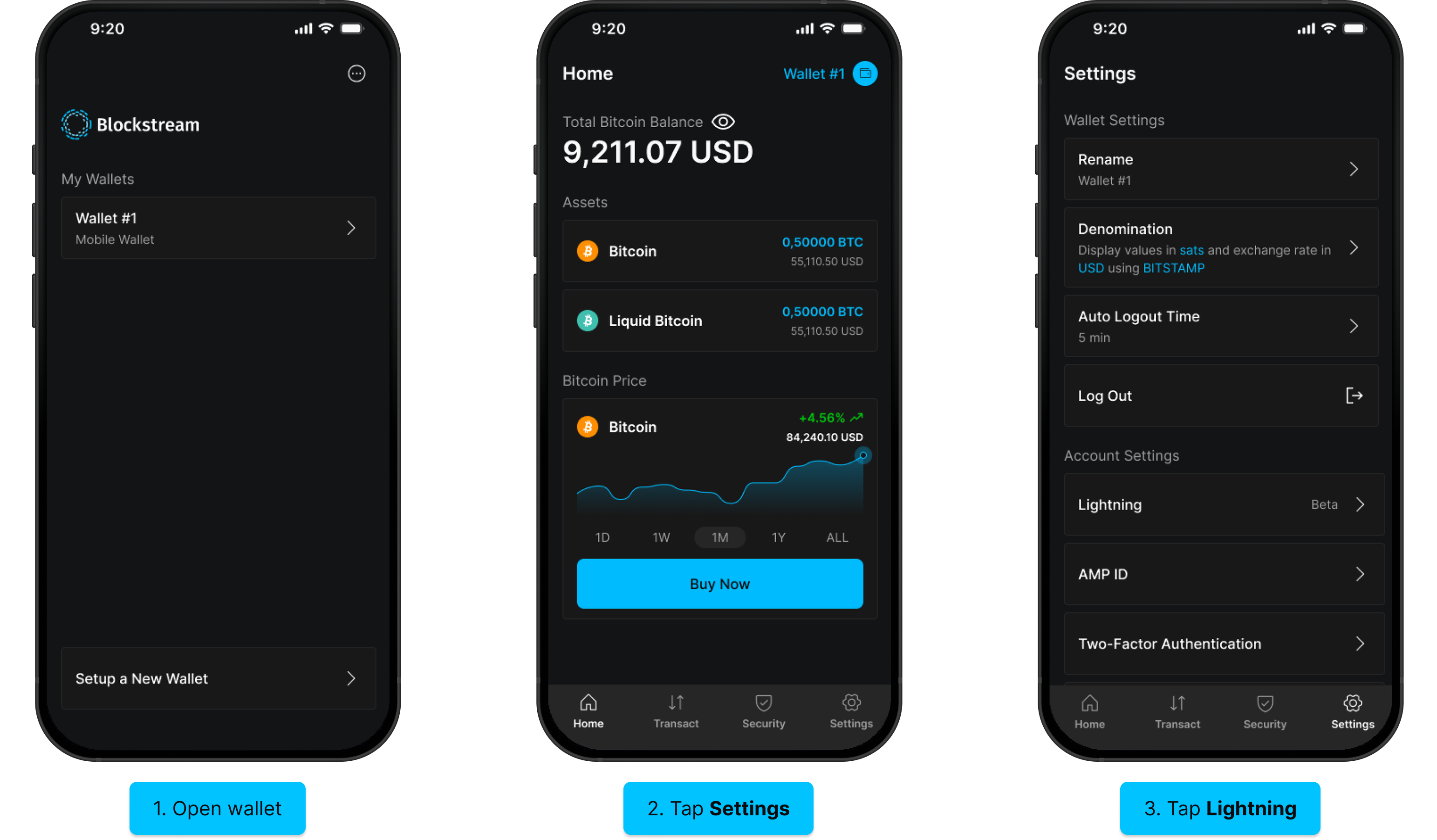 Enable Lightning (iOS): open wallet, Settings, Lightning