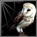 Profile picture of WhiteOwl