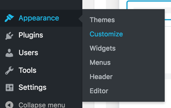 wordpress appearance customize