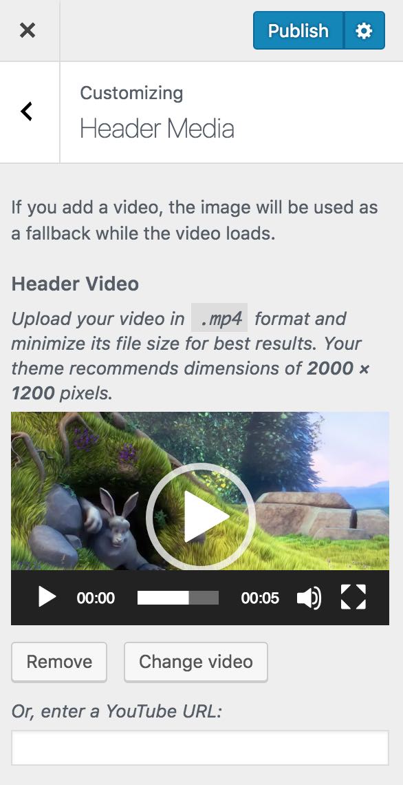 wordpress appearance customize header video