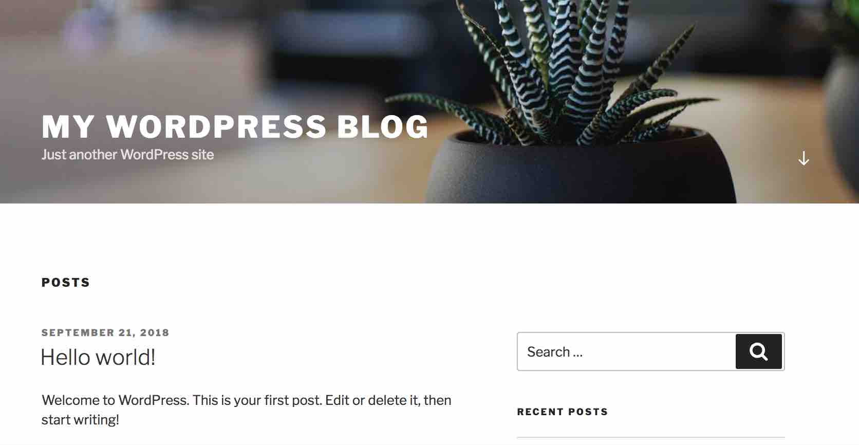 wordpress blog