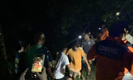LOLA PATAY, IYANG APO NALUWAS KAY GIITSA SA TAMPI SA SAPA HUMAN NAABTAN SA BAHA SA NAGA