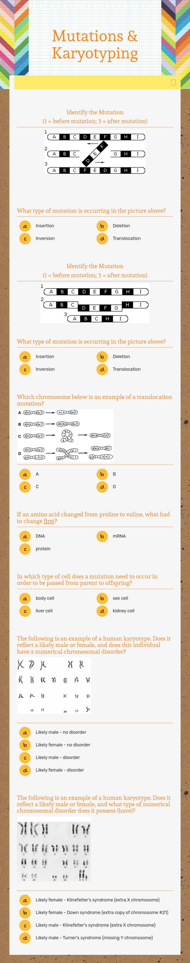 Mutations & Karyotyping worksheet preview image