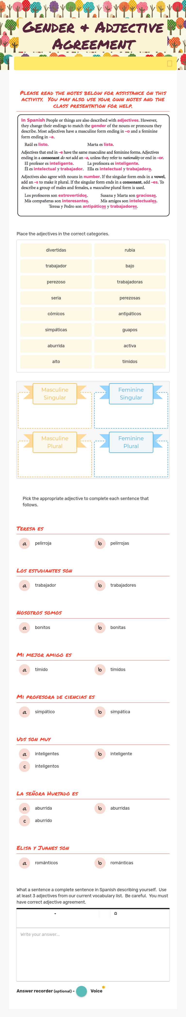 Gender & Adjective Agreement worksheet preview image