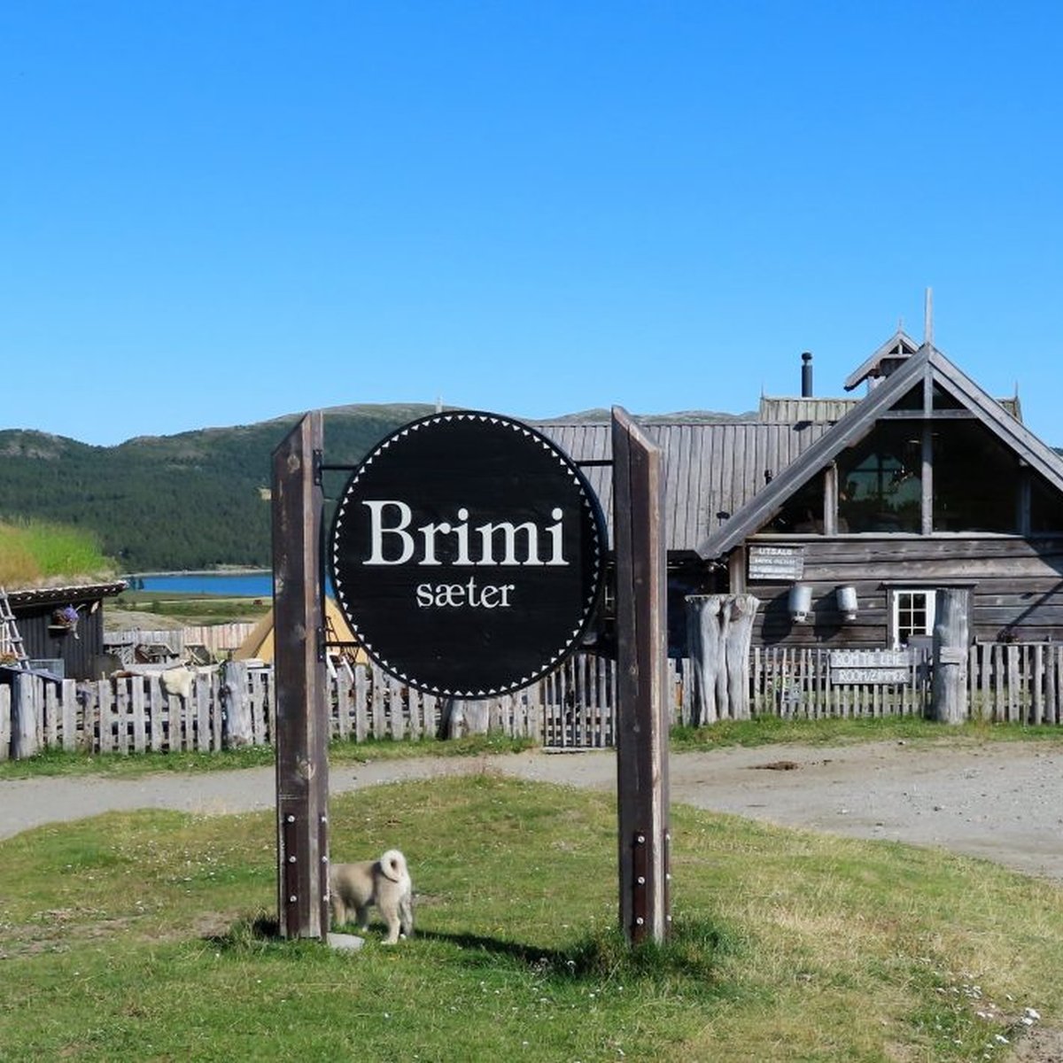 Brimi sæter