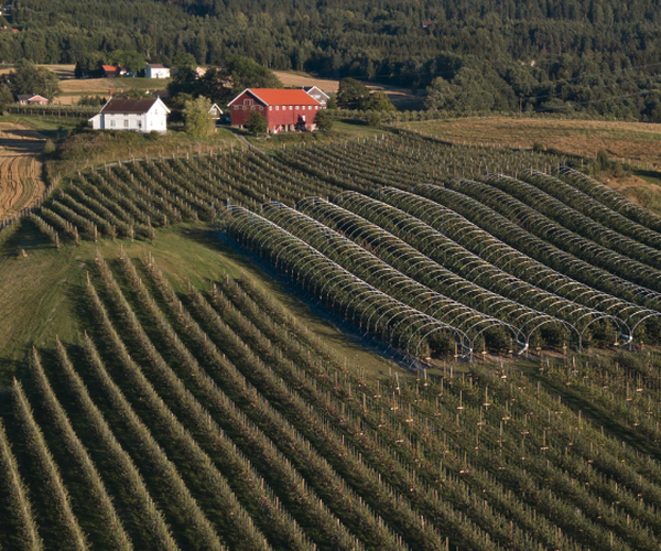 NeRø Frukt og Sider