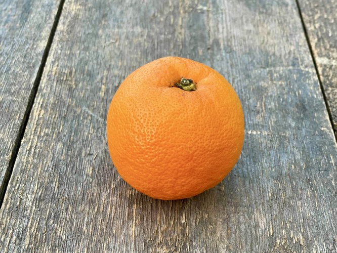 Bitter appelsin