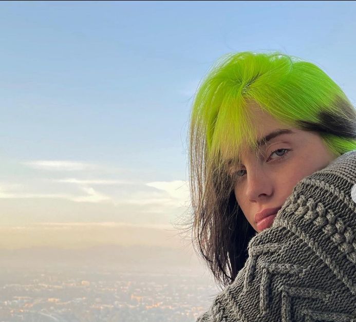 Billie Eilish selfie