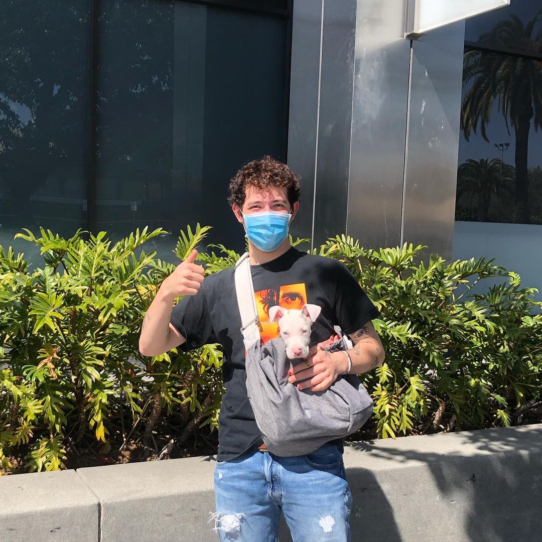 A photo showing Franklin Jonas in a casual ripped denim pant and black shirt, with a bag carrying his puppy.